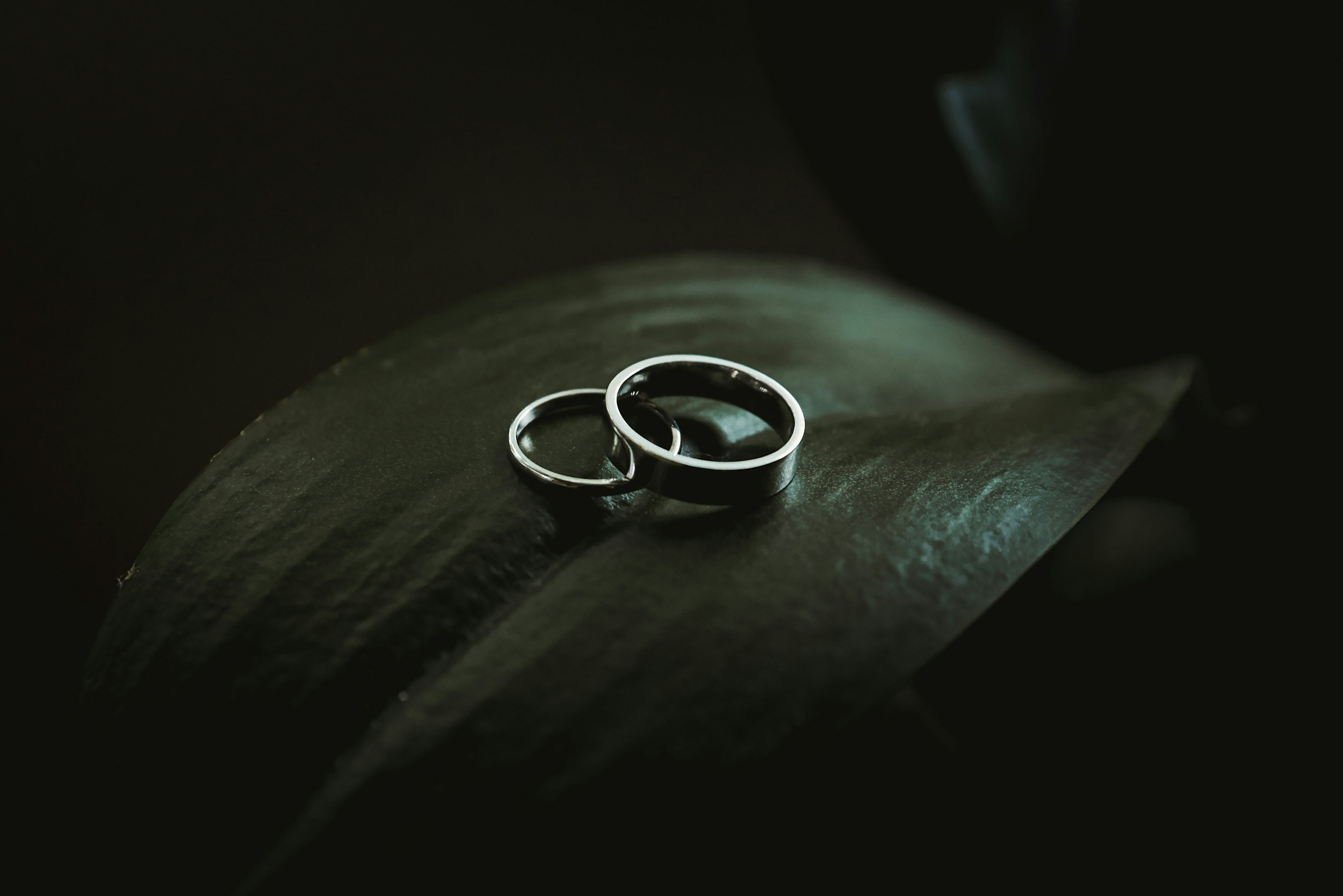 unsplash-image-Zyp3t67rrP4.jpg