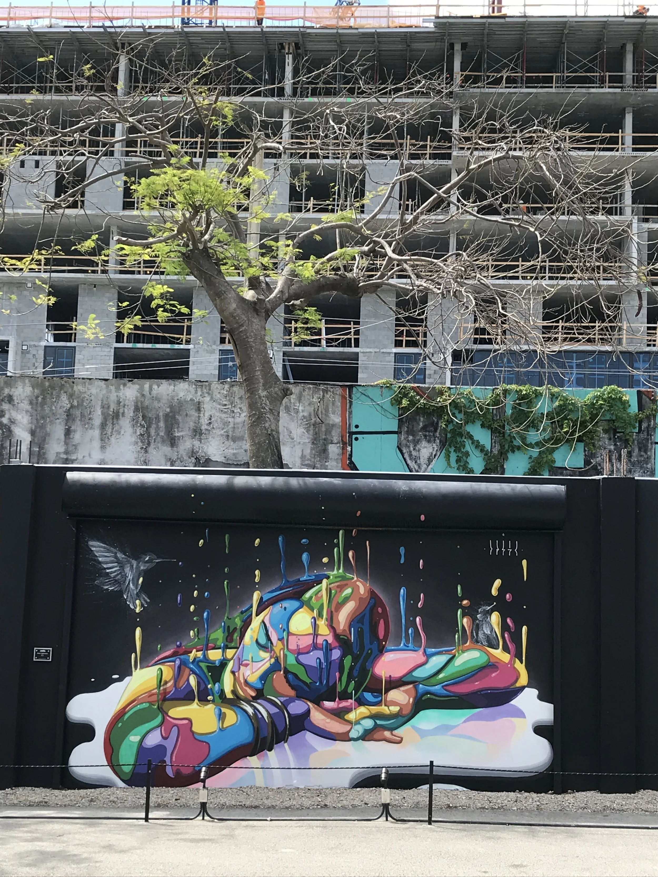 Colorful graffiti mural with paint splashes and drips, depicting a human face with abstract features, accompanied by two hummingbirds, on a black wall in front of a construction site with a tree and building framework.