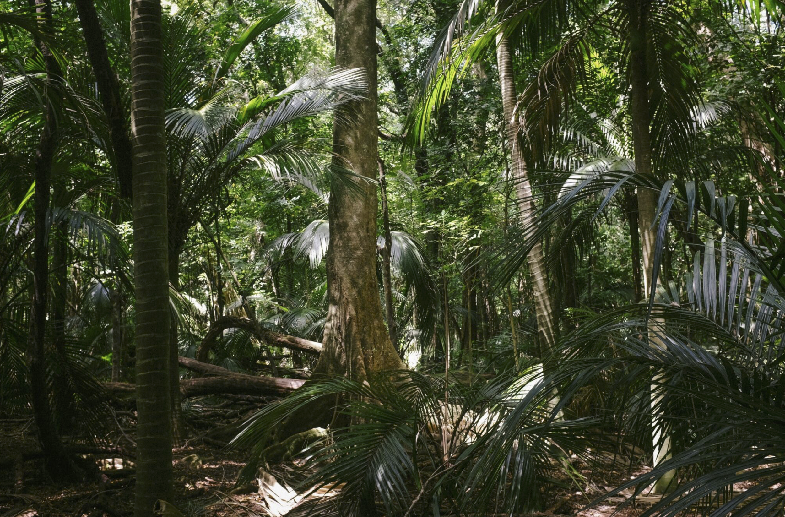 November 2025 Funding Round Results