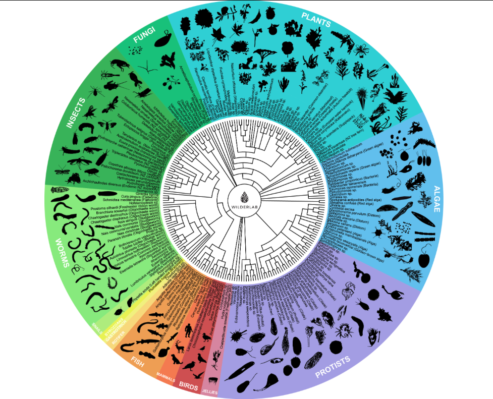 What’s in your eDNA?