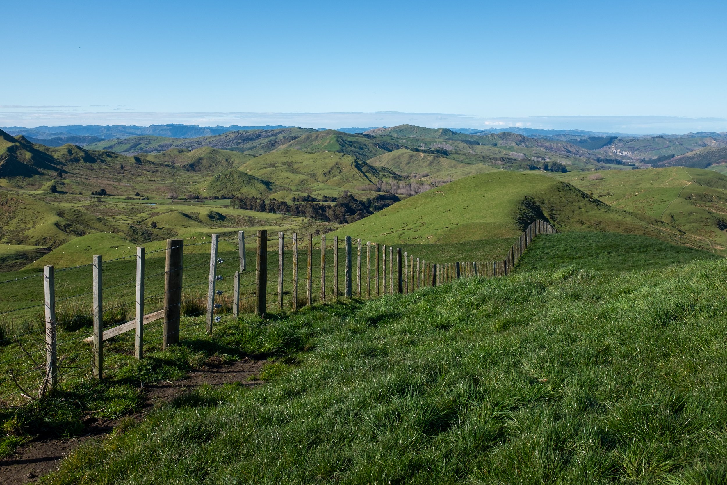 DSCF8543.jpg