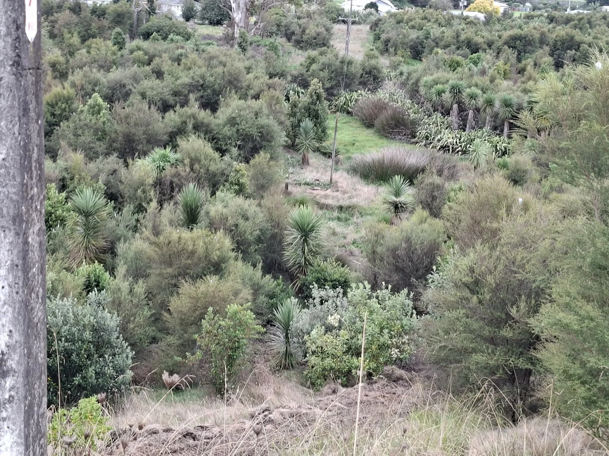 650297909_4419906564958649_3819960594412607584_n.jpg