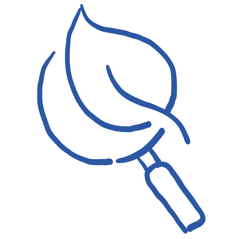 Blue outline drawing of a magnifying glass over a leaf.