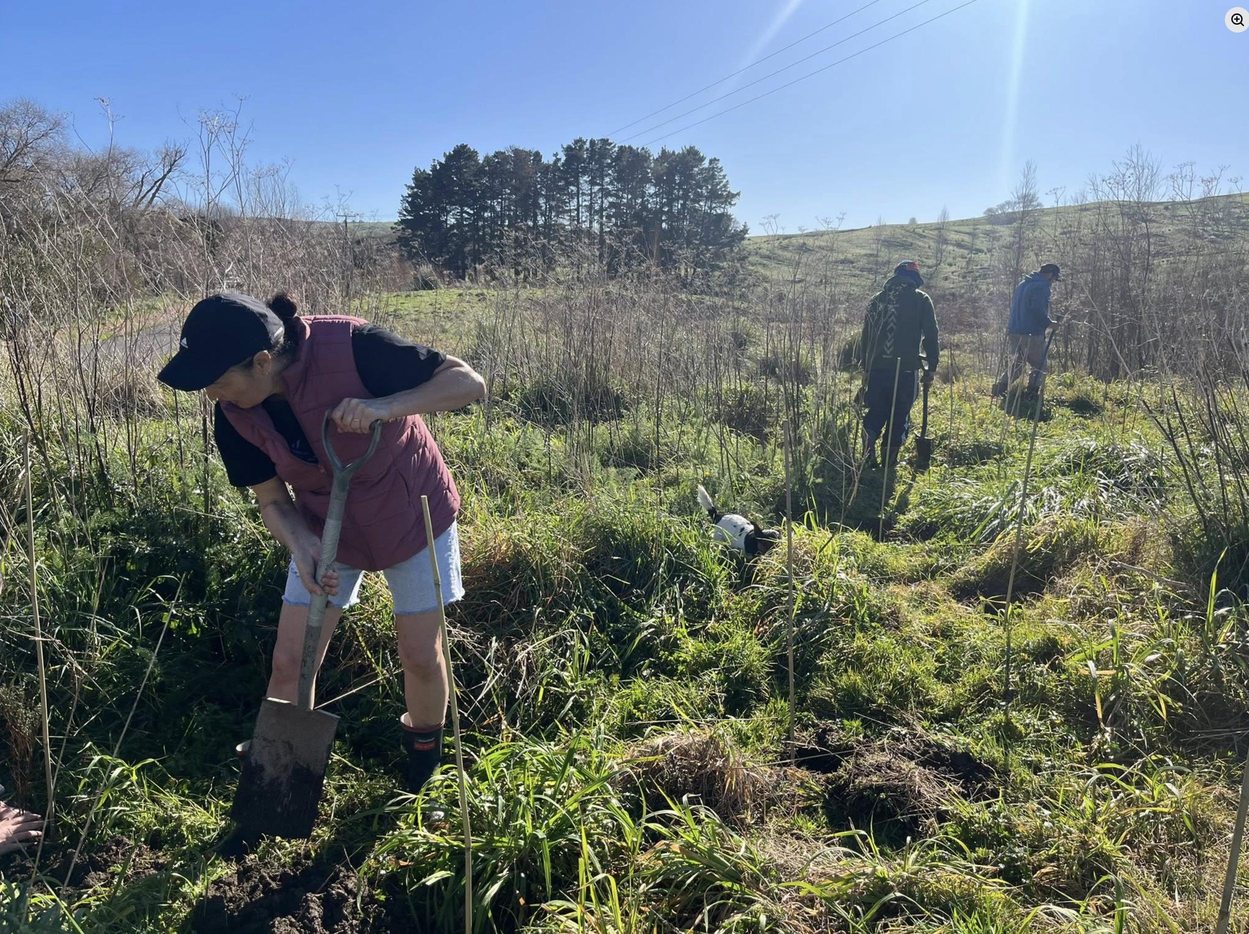 Screen Shot 2026-01-22 at 4.00.07 PM.png