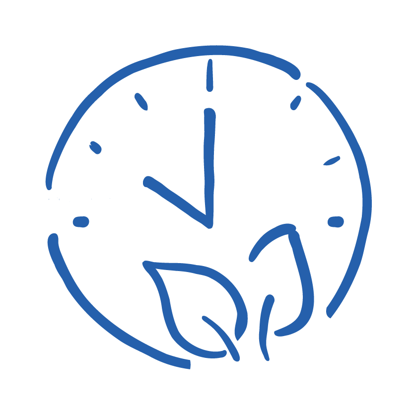 A blue hand-drawn clock showing 11:00 with a leaf at the bottom.