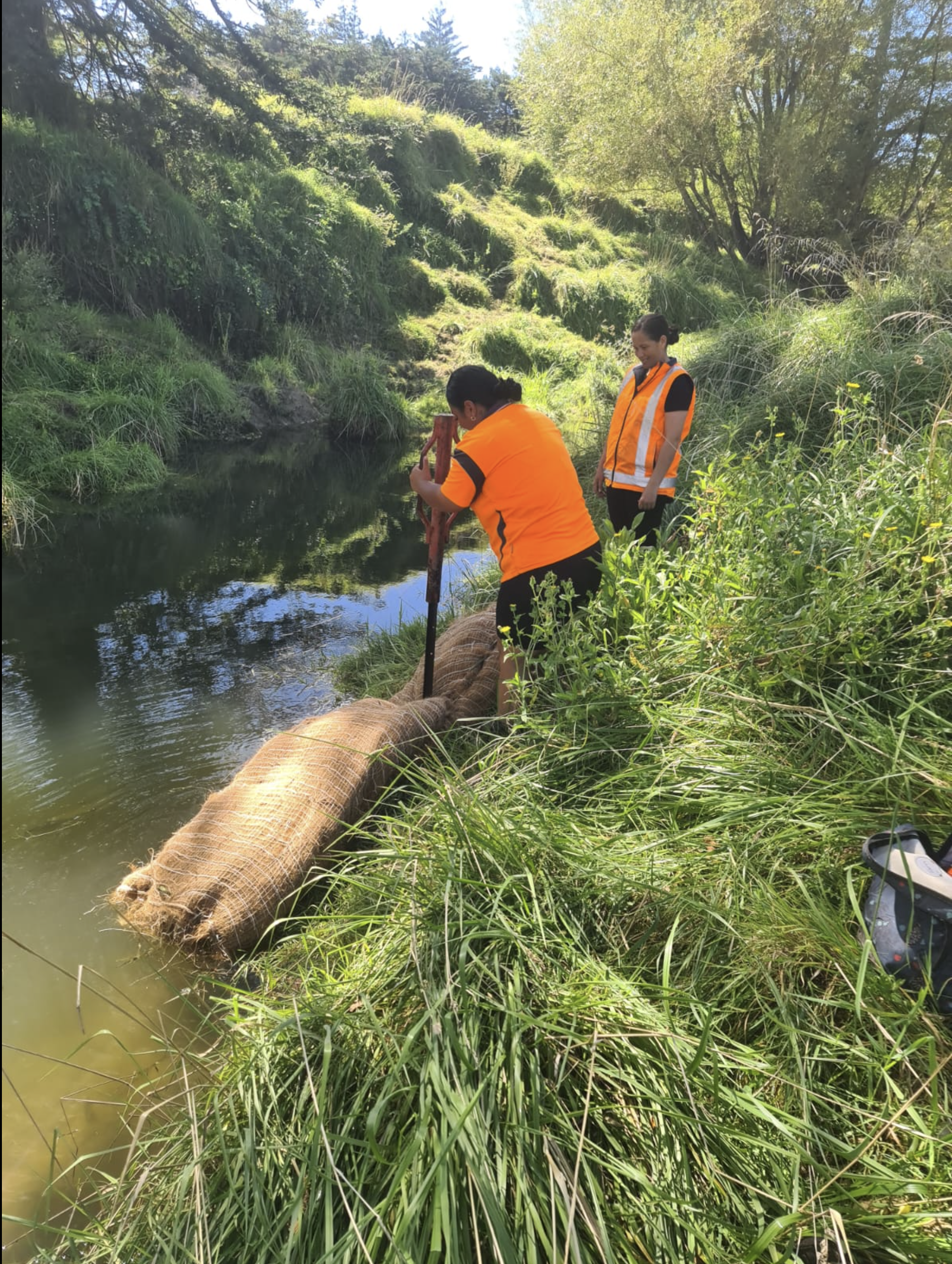 Screen Shot 2026-01-22 at 4.01.20 PM.png