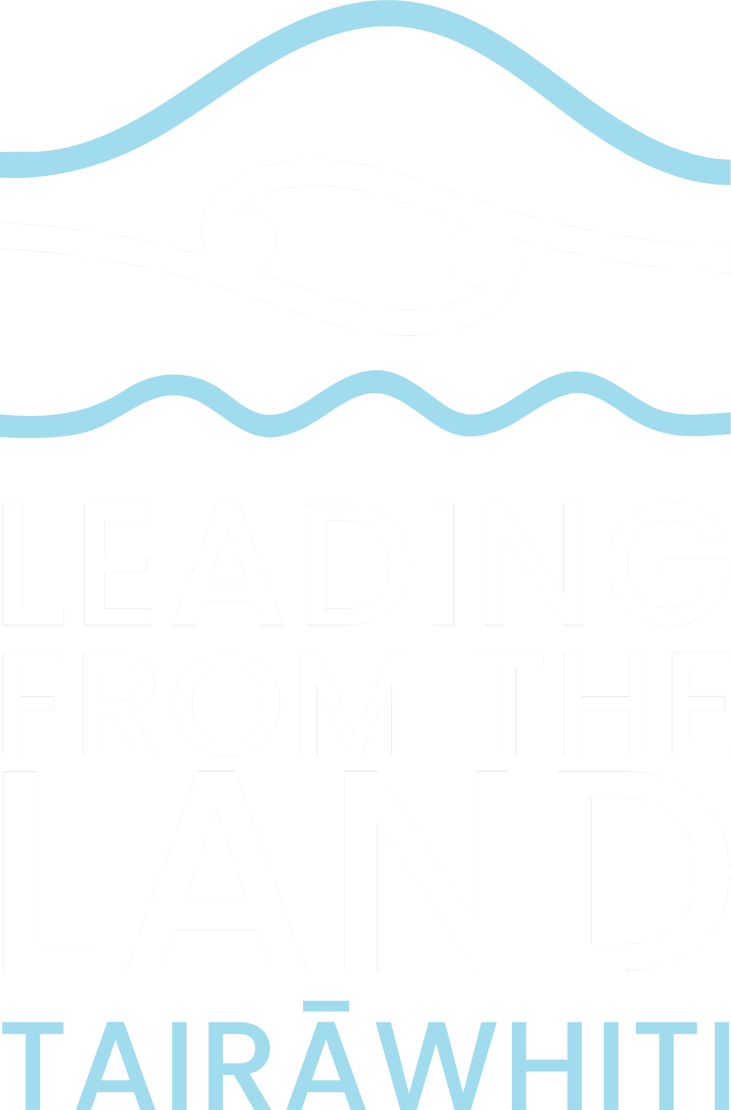 Logo with stylized water waves and fish, and text that reads "Leading from the Land Tairāwhiti".