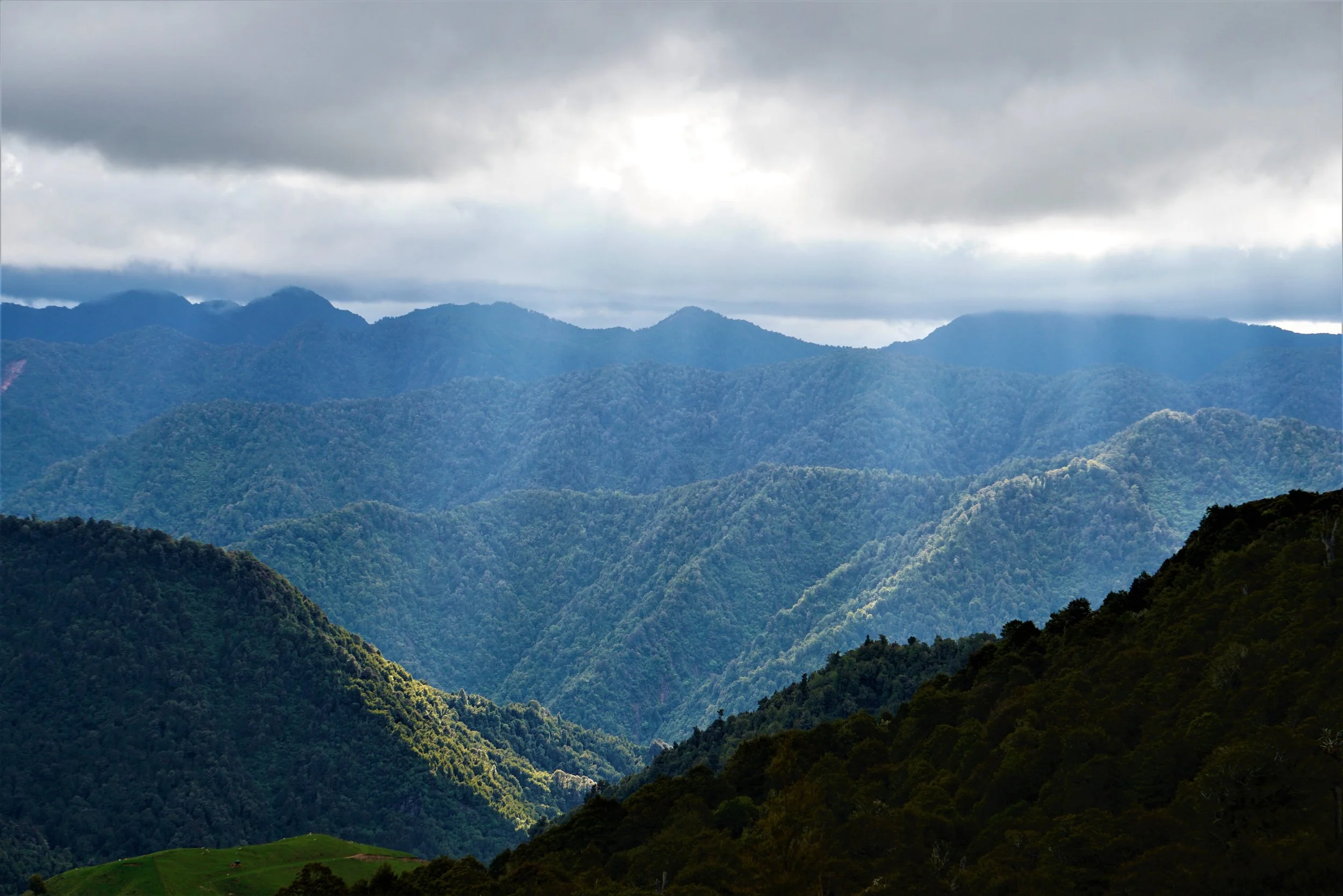 Scenic view of Raukuma Maunga Eastern Whio Link restoration project, with help from Leading from the Land Tairāwhiti