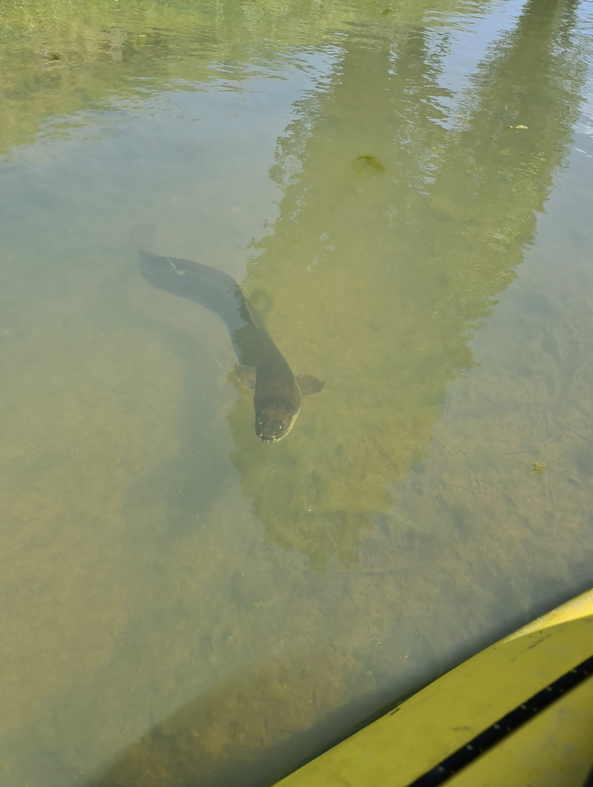 Screen Shot 2026-01-22 at 4.01.10 PM.png