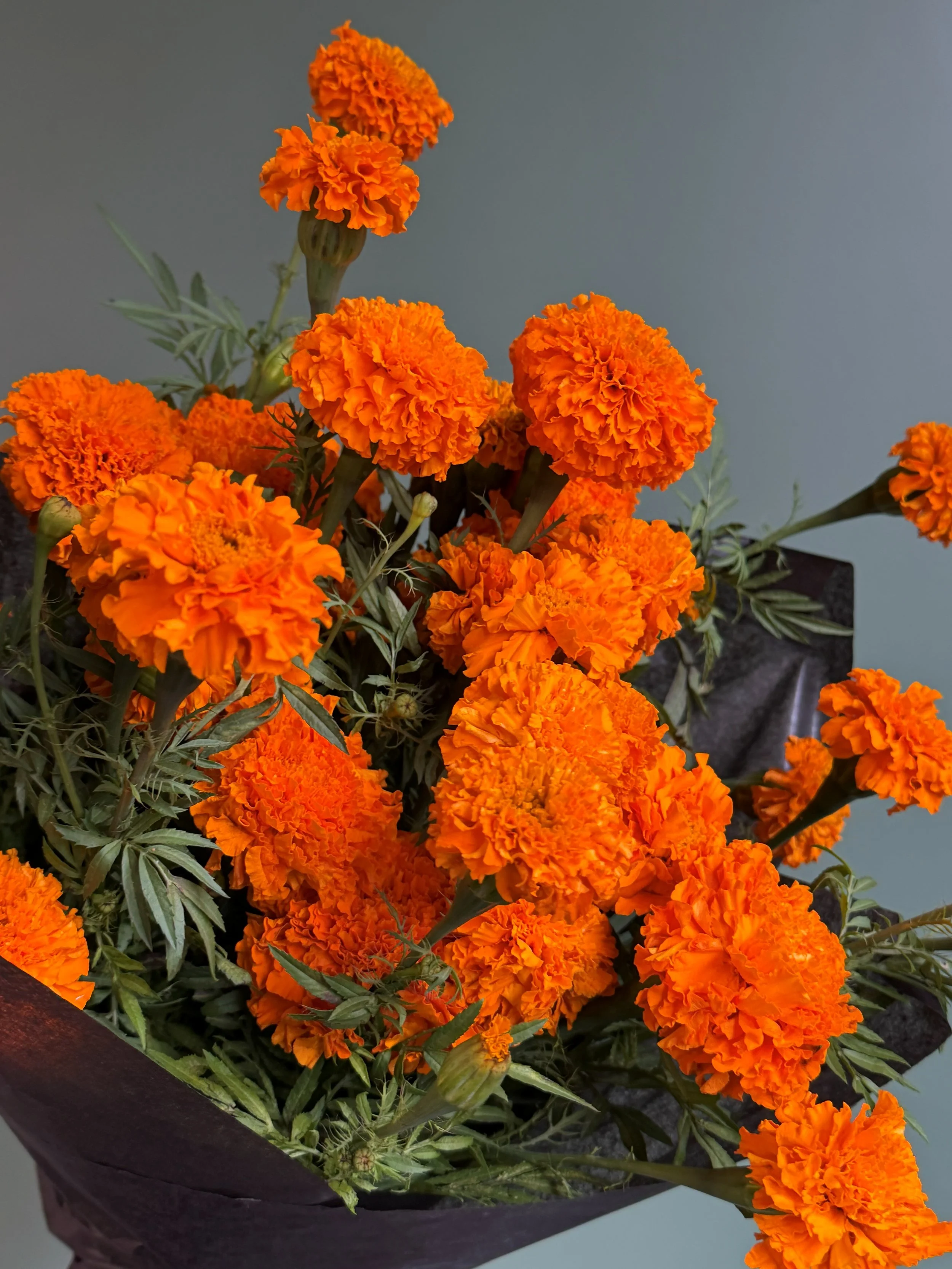 marigold bunch