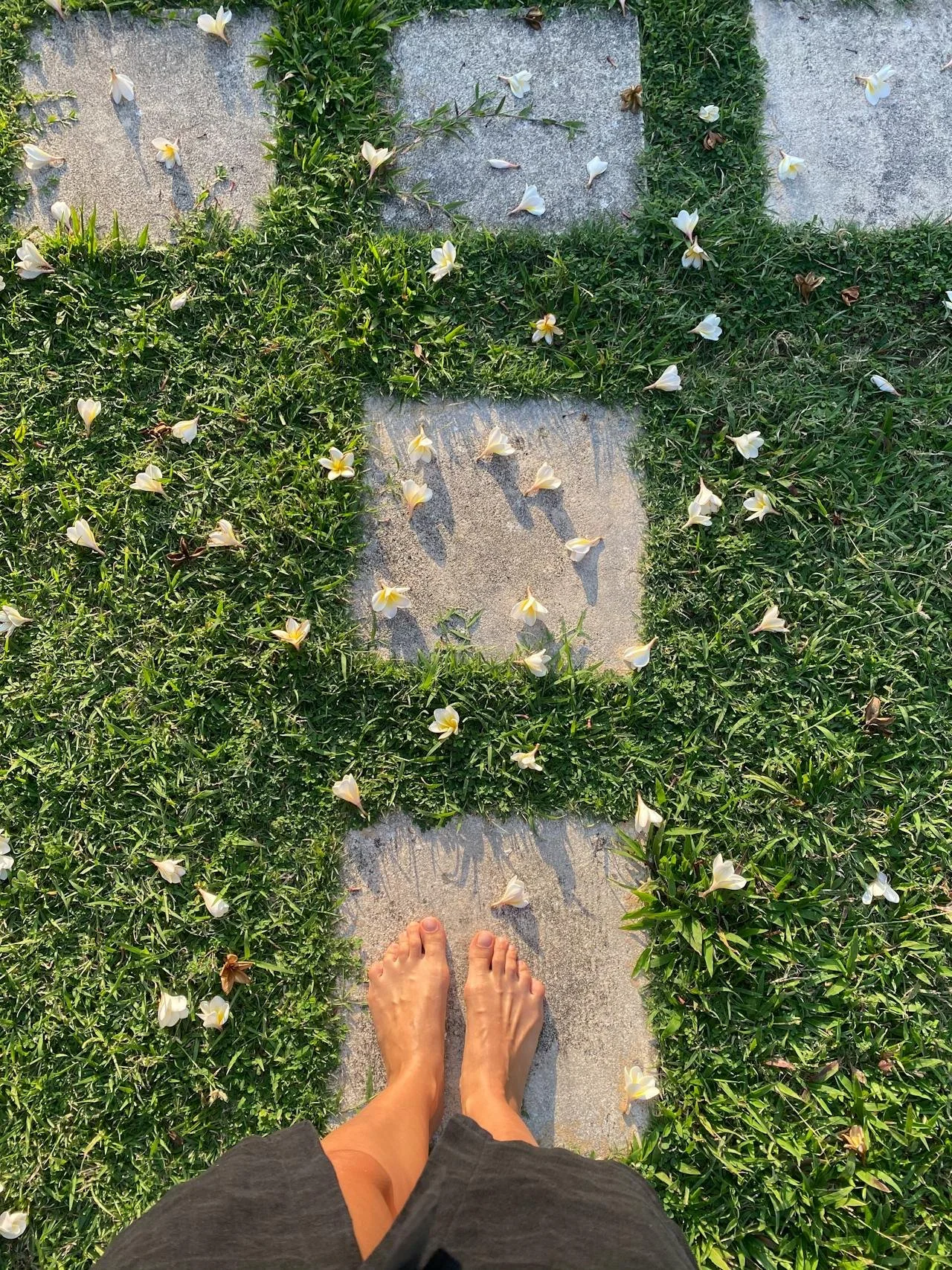A top-down view of a person's bare feet on stone tiles, surrounded by green grass with white and yellow flowers scattered on the tiles and grass.