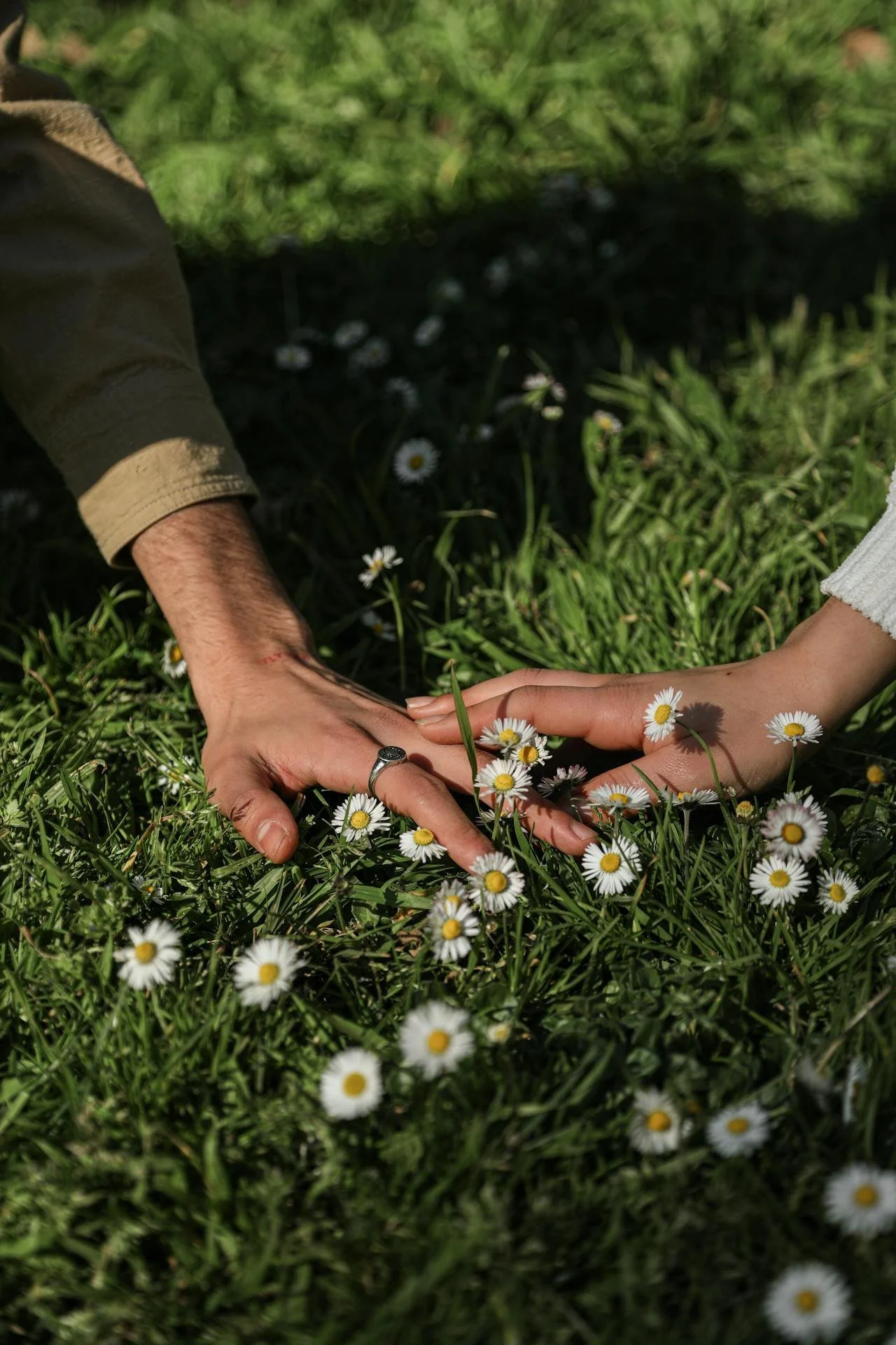 Two people touch hands on a grassy field with small white daisies, one person wearing a ring and a long sleeve, the other with no ring and a short sleeve.