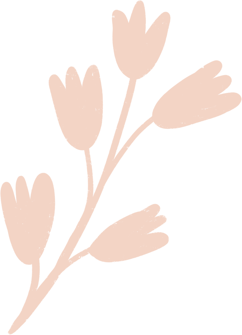 Simplified illustration of a branch with six light peach-colored flowers or buds.