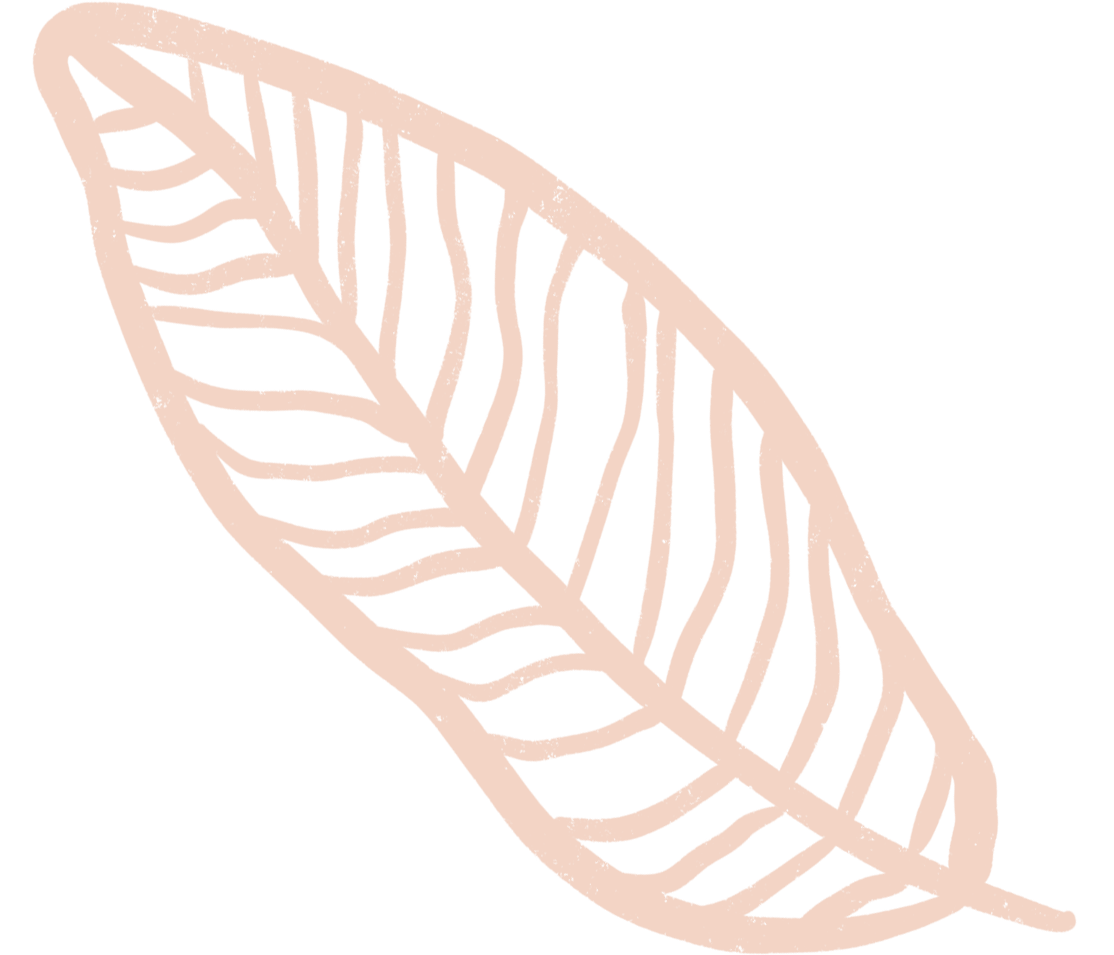 A stylized, pink outline of a leaf with a detailed vein pattern on a black background.