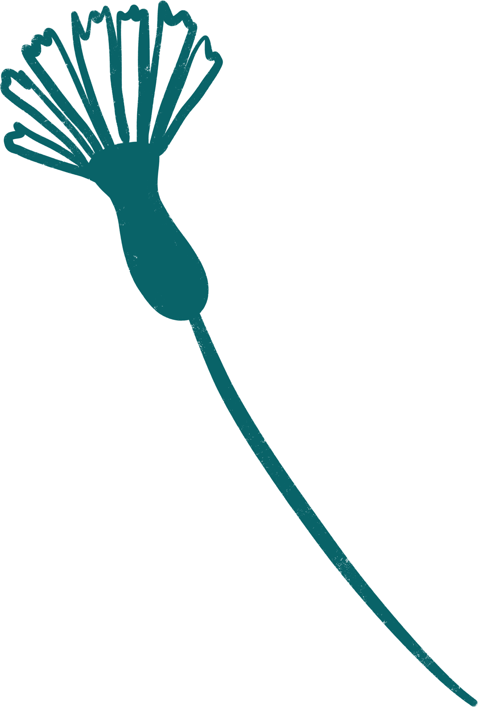 A teal-colored dandelion seed head with a long stem against a black background.