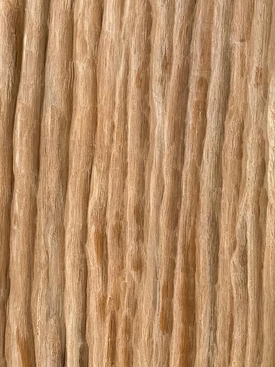 WhatsApp Image 2025-11-03 at 11.50.40 AM.jpeg