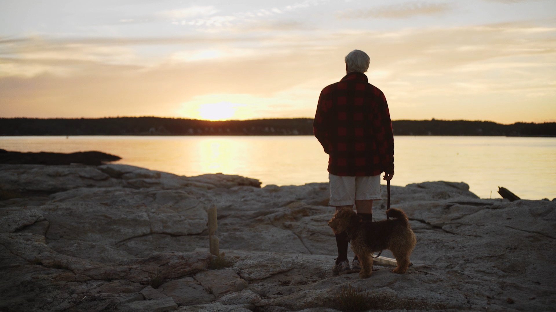 An older man with gray hair standing on rocky shore at sunset with his dog.