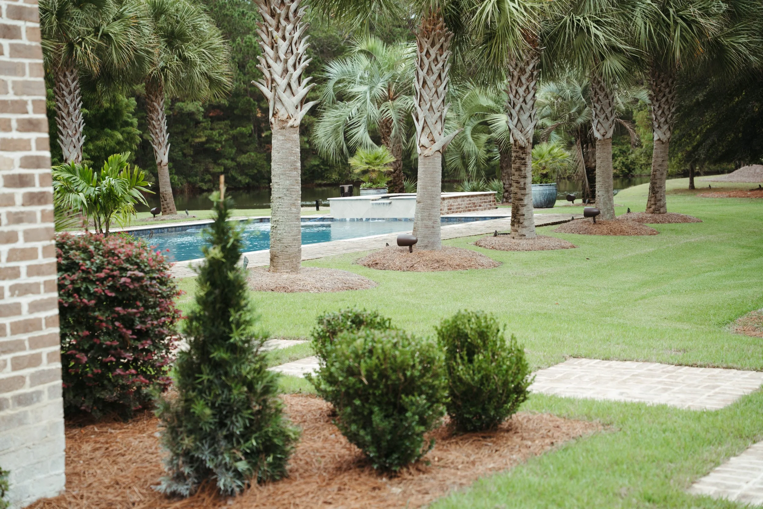 A backyard with a swimming pool, palm trees, green grass, and landscaped bushes.