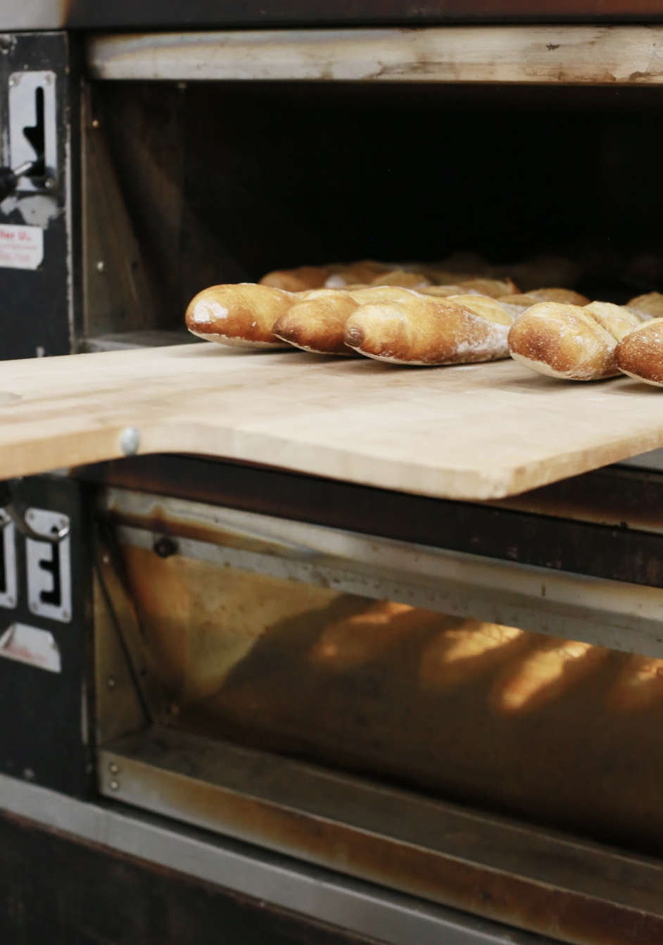 Screenshot 2026-03-31 at 9.48.14 AM.png