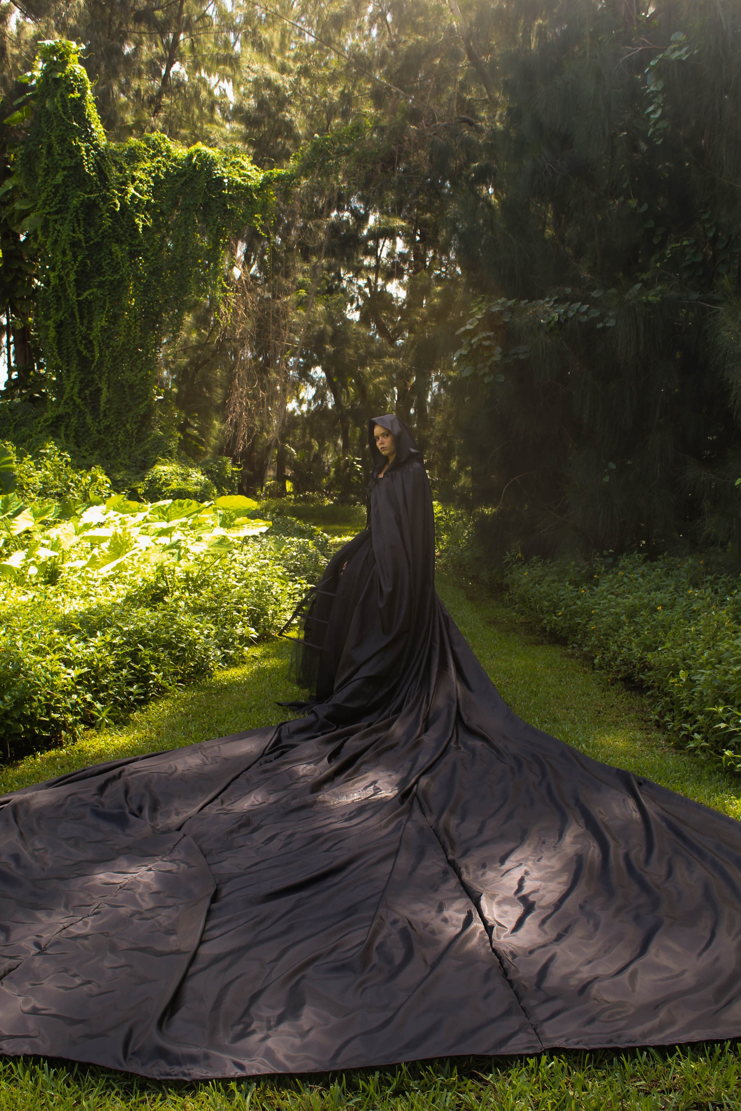 SCD-IMG_6757 copy.jpg