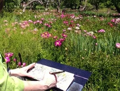 Plein Air Watercolor for Beginners-Wed July 29