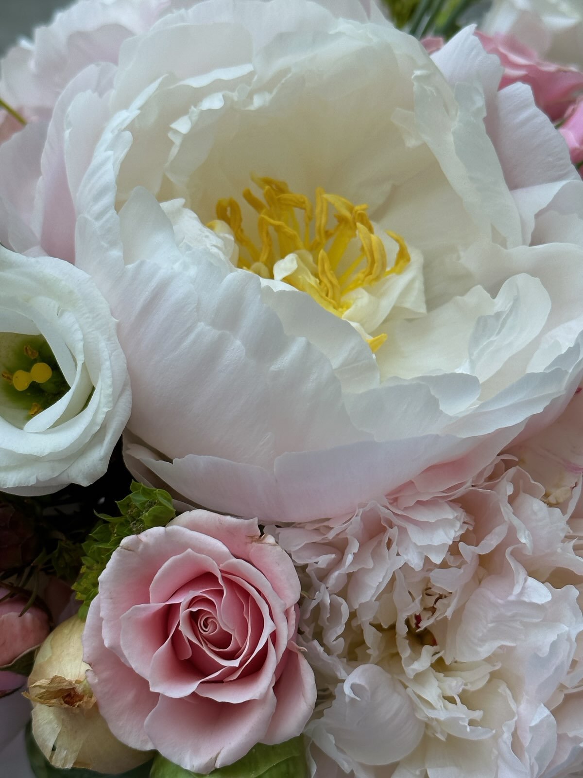 Spring Bright Floral - Wednesday May 13