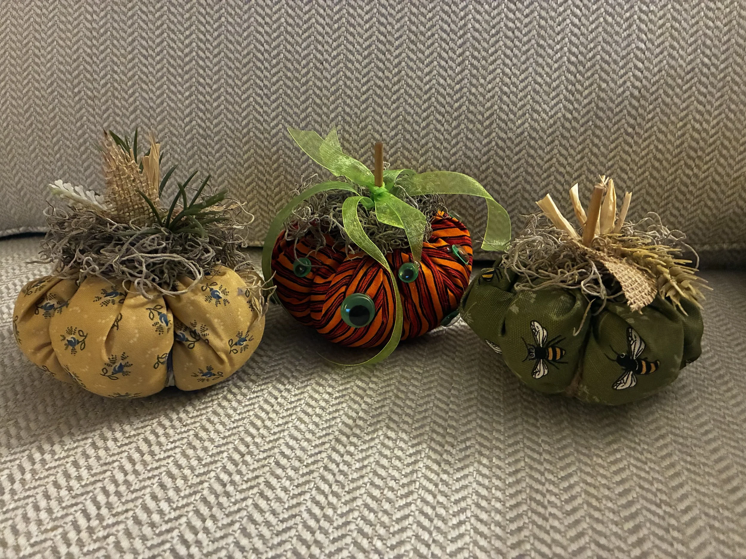  Pudgie Pumpkin Fun 