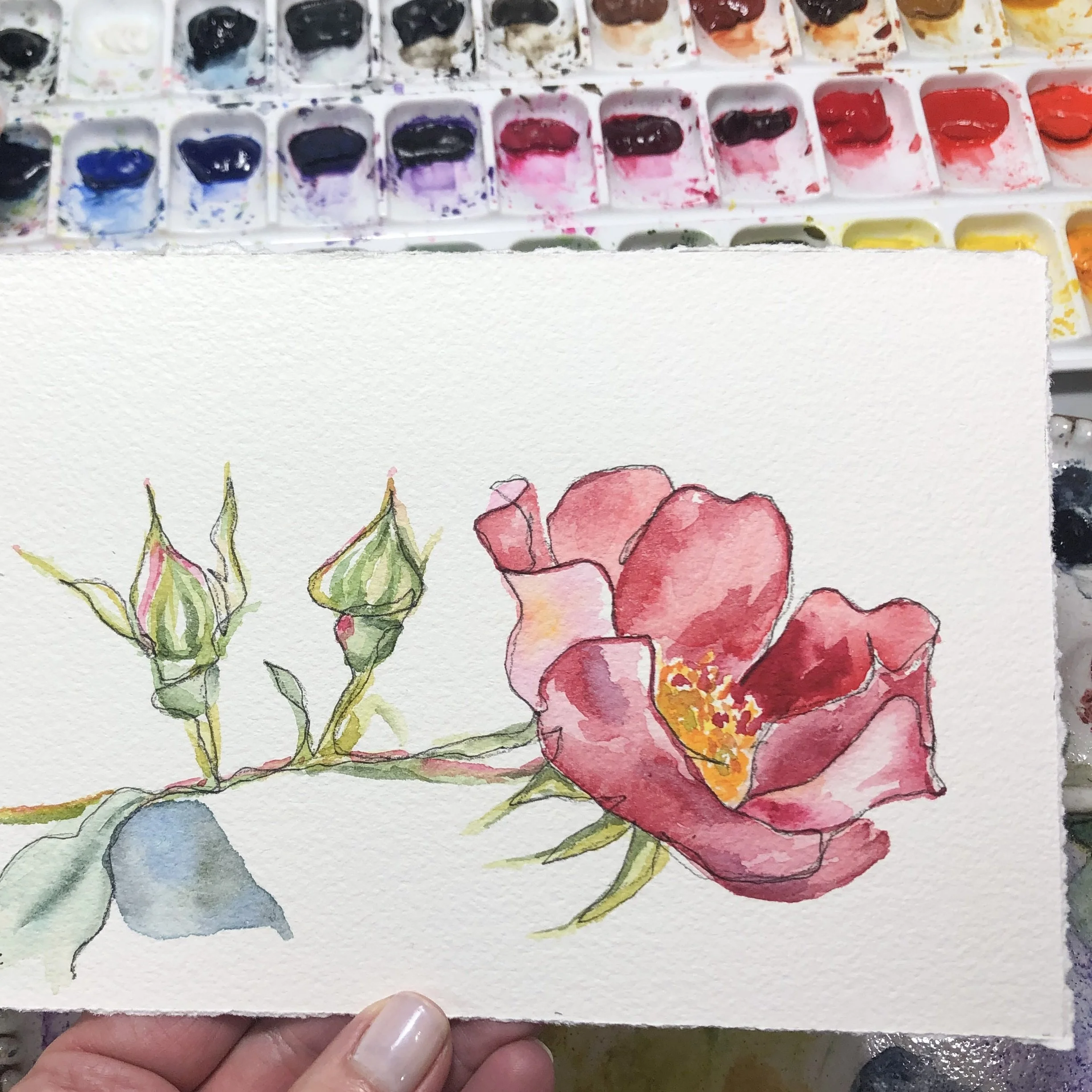 Beginner Friendly Watercolor-Wed May 6