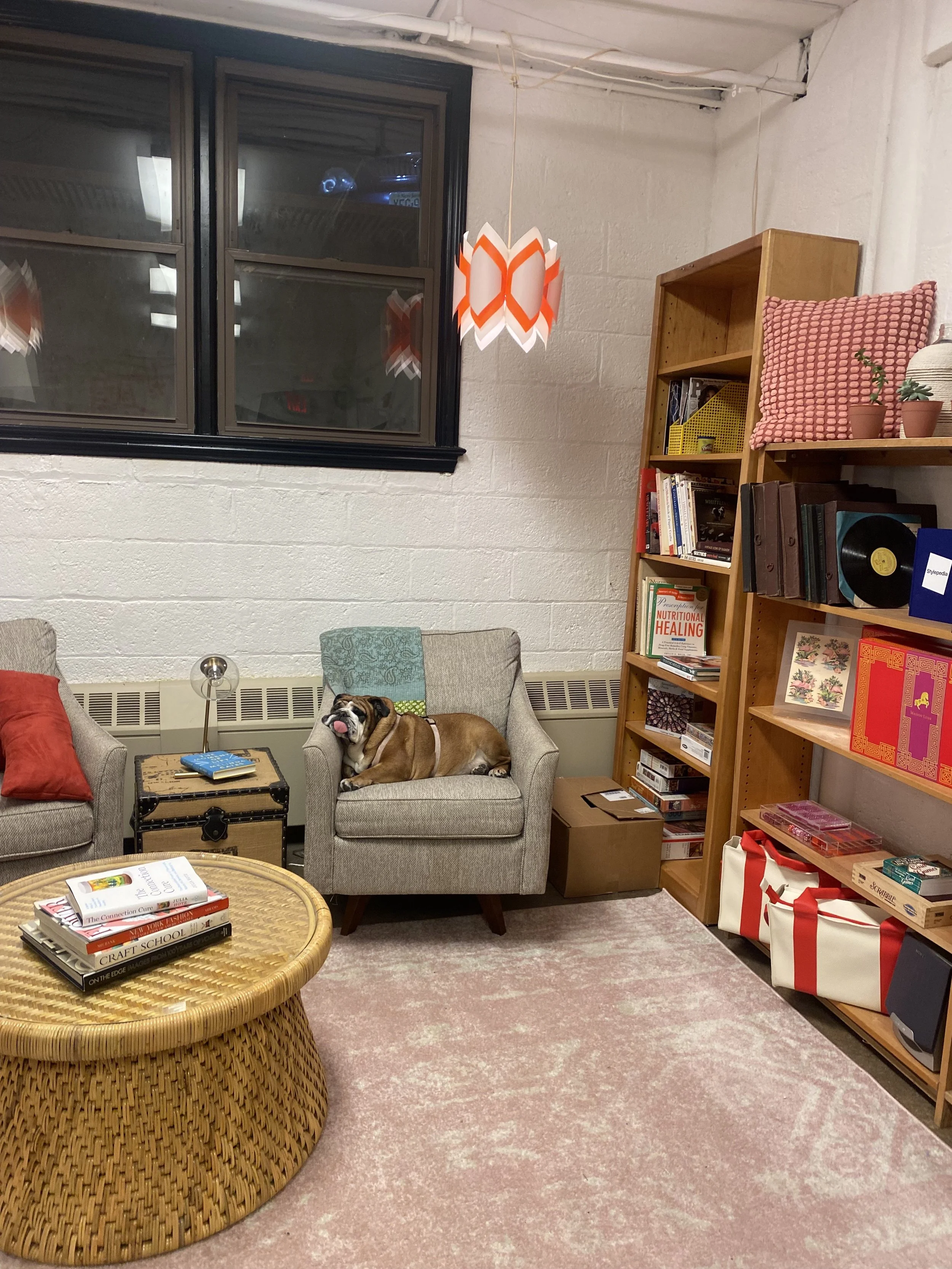 Sweet Potato found her spot
