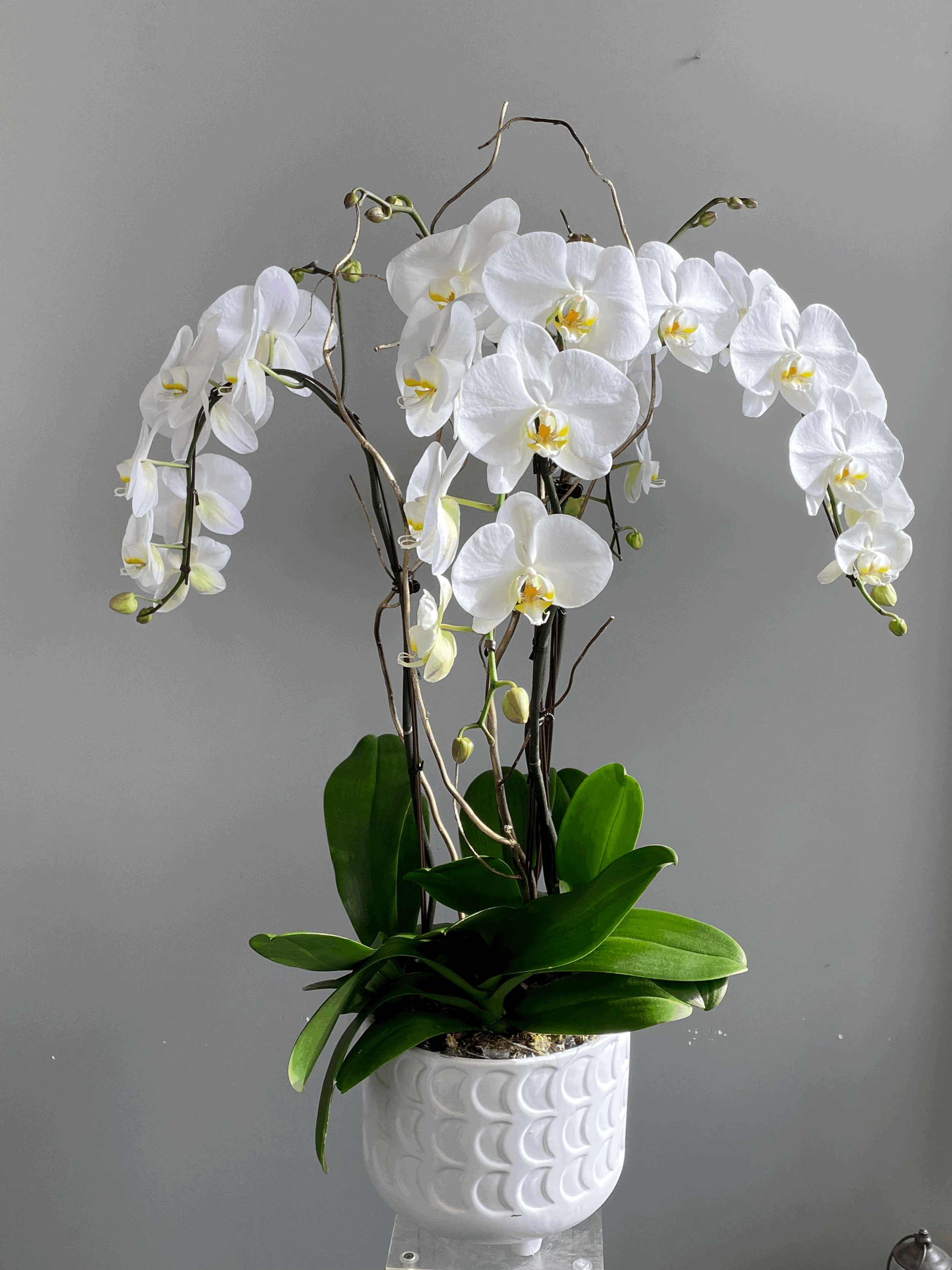 Flower arrangement in a hat box