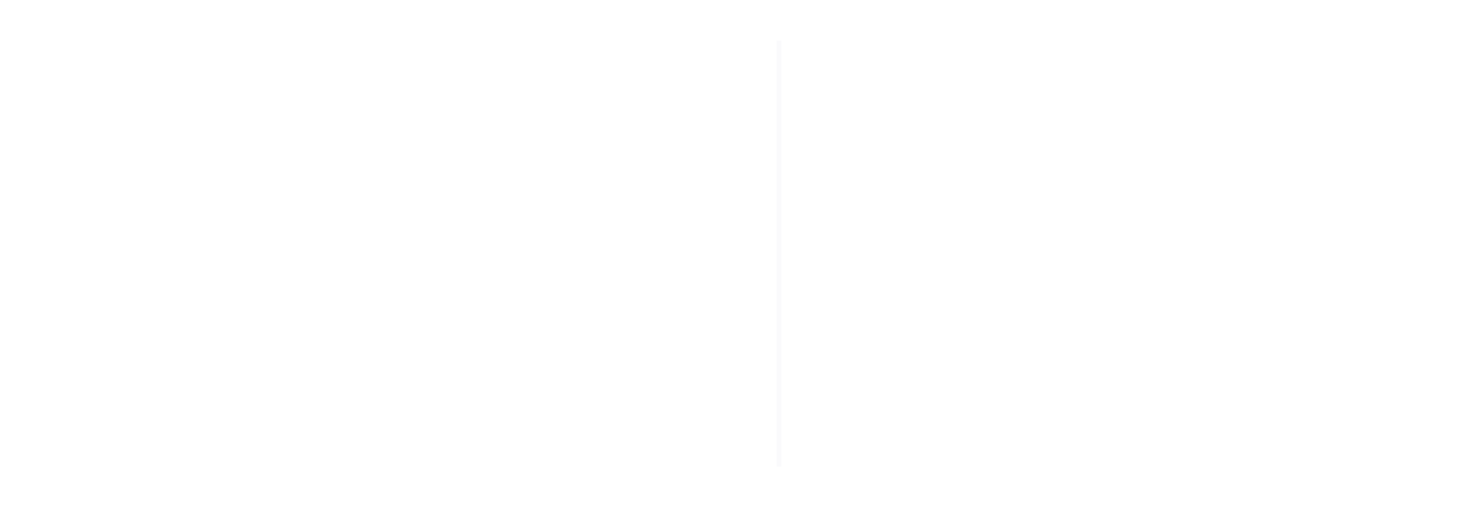 A blank white screen with a vertical gray line down the center.