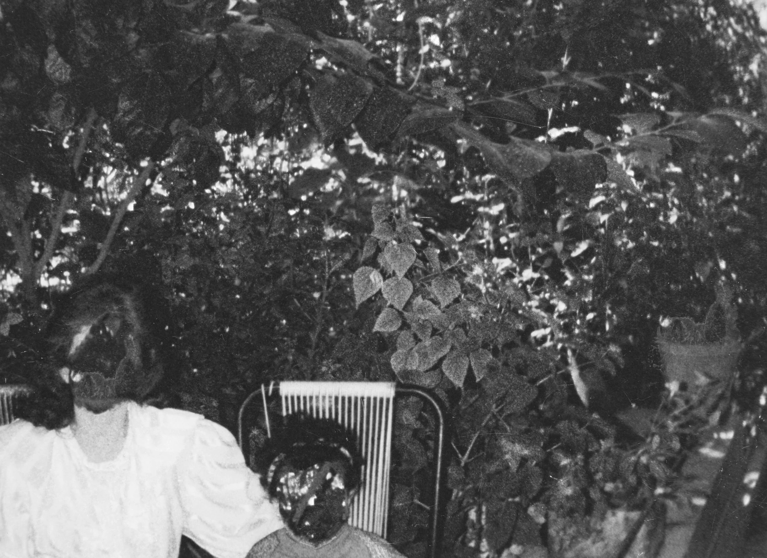 of distant homes and new dwellings