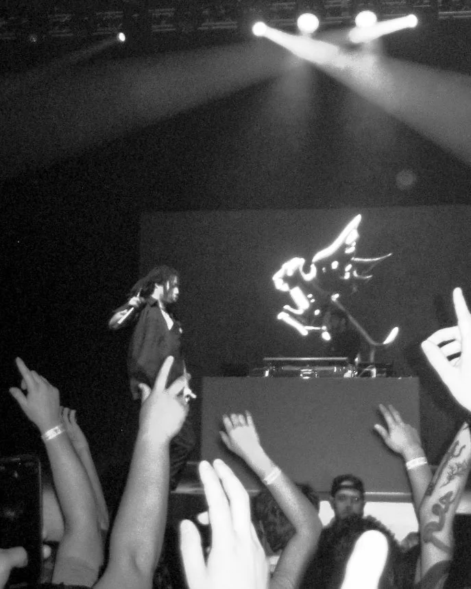A DJ performing on stage at a concert with a large projection of a robotic horse in the background. Audience members have their hands raised.