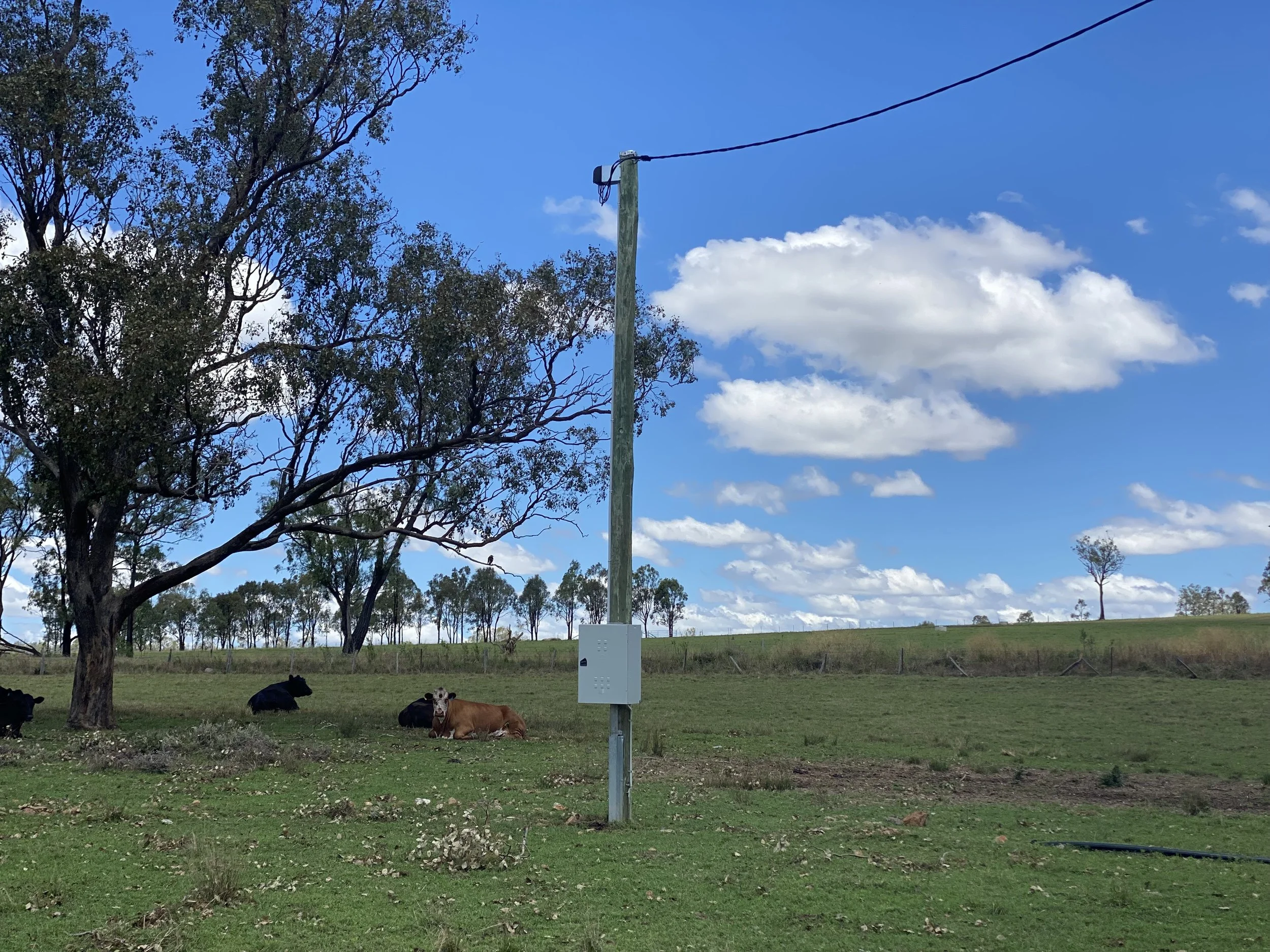 TNT Electrical Co | Electrical Services - Property Poles