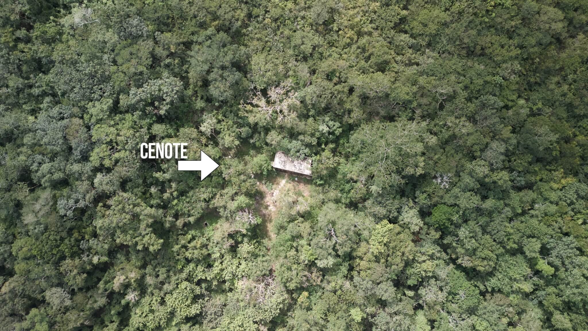 Tekom_Cenote3.jpg