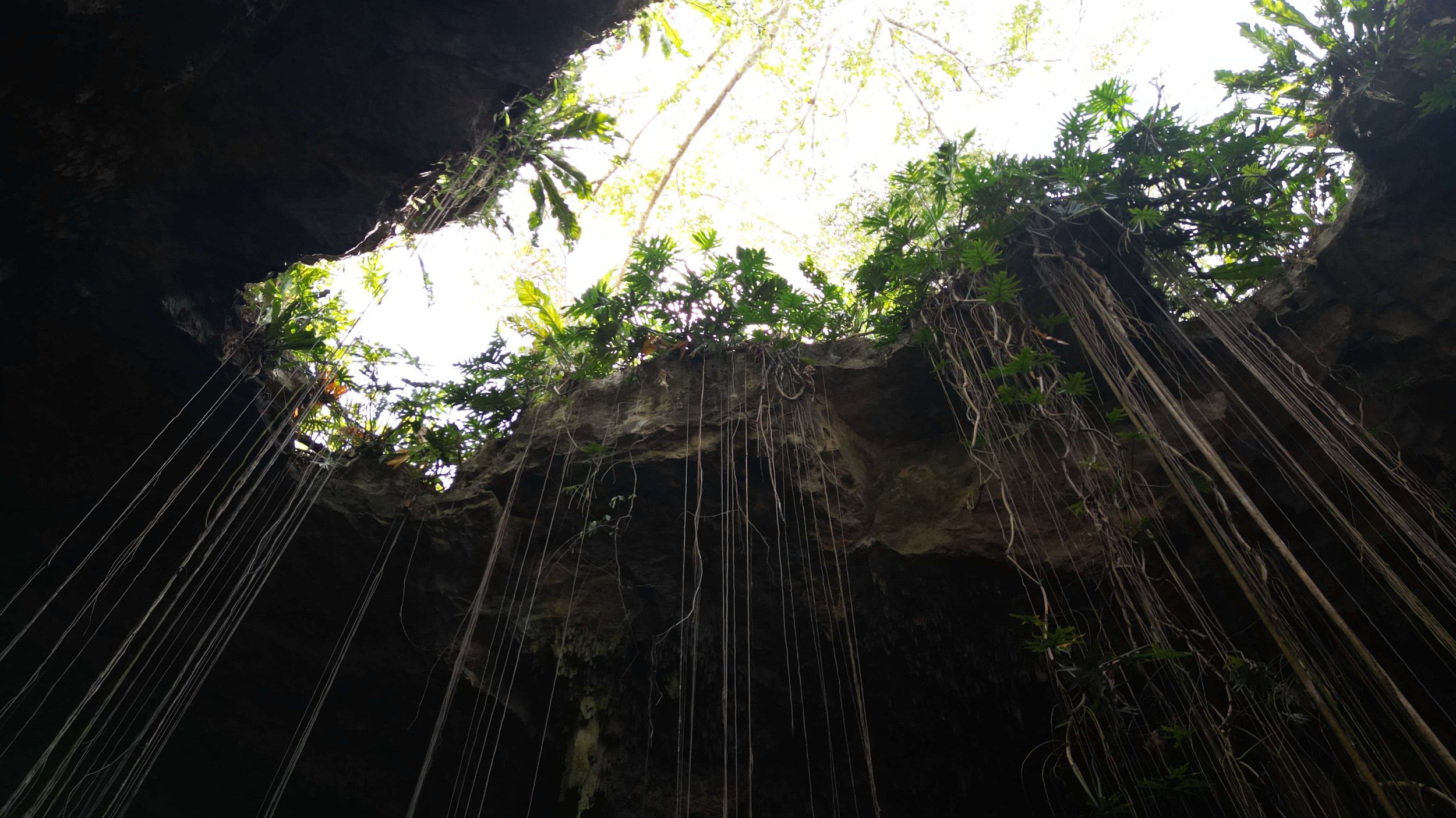 Cenote6.JPG