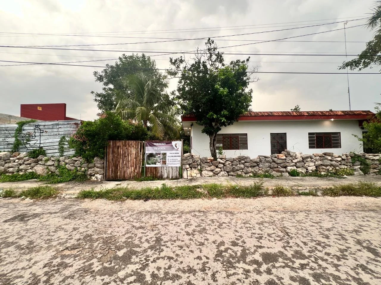 image7.jpg