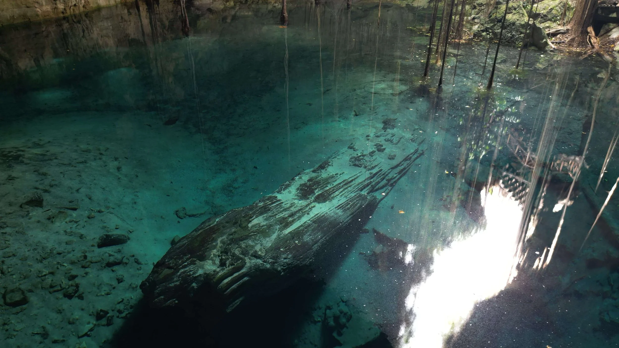 Cenote10.JPG