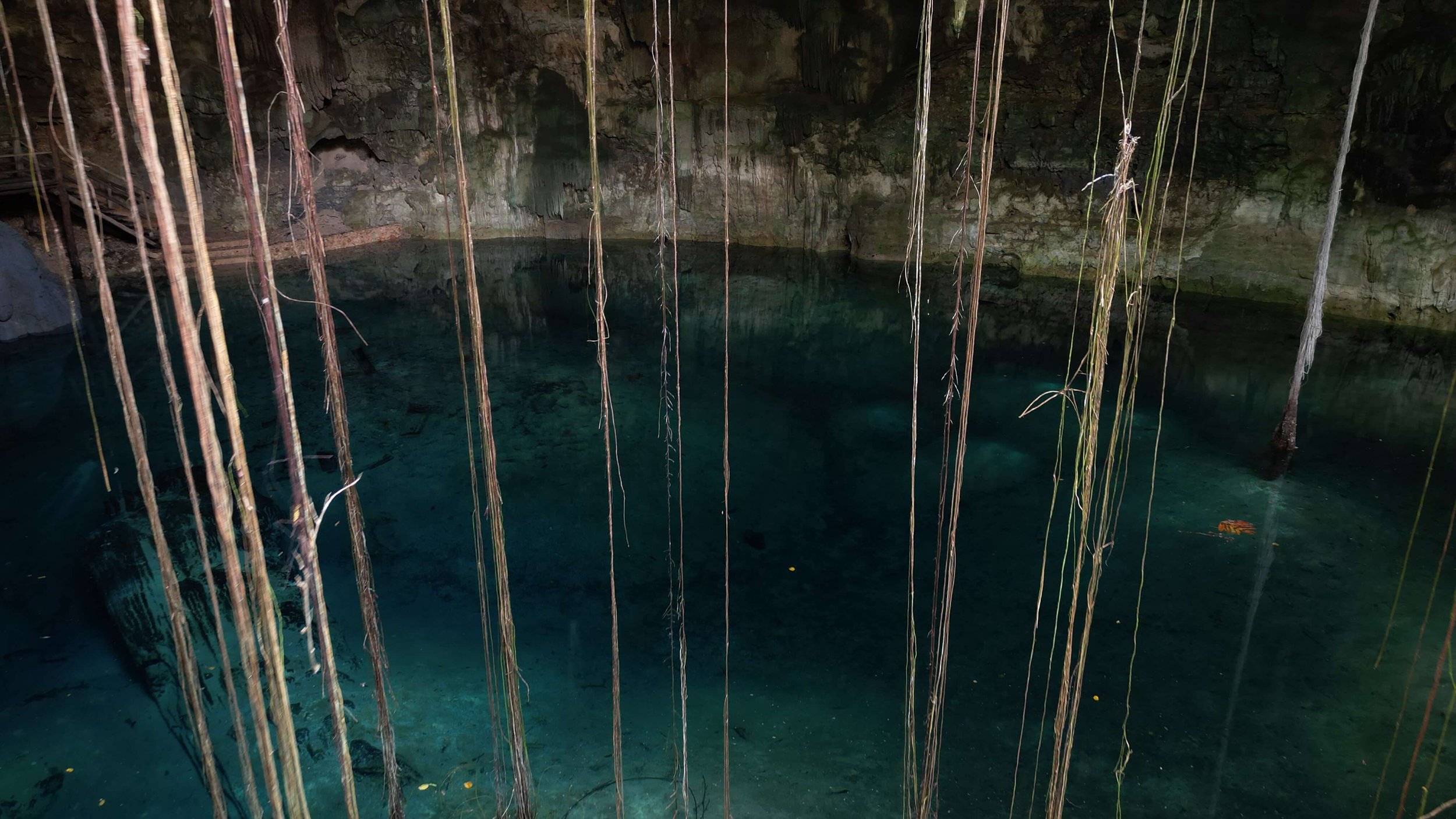 Cenote5.JPG