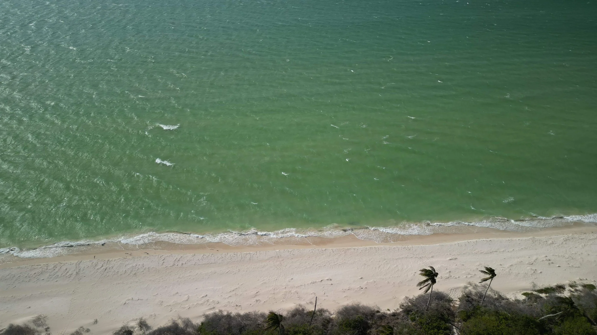 Playa_san_crisanto.JPG
