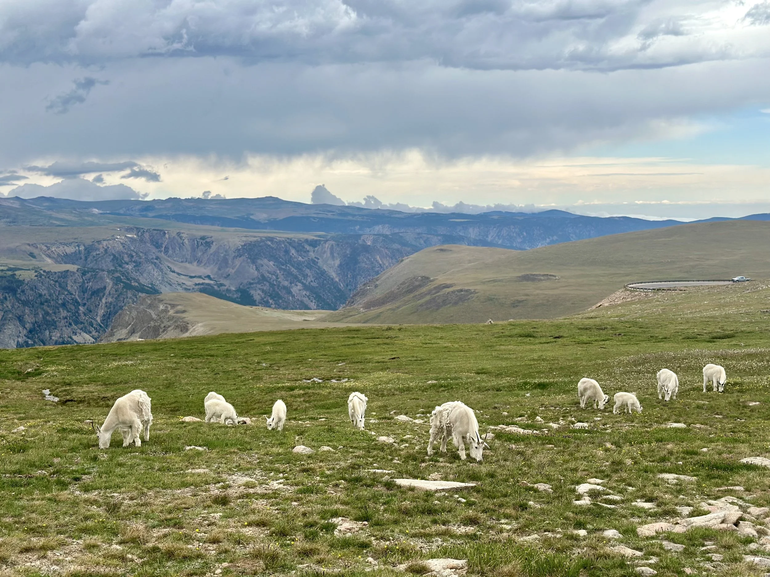 The Healing Power of Boundaries: Saying “No” to Honor Your “Yes!”