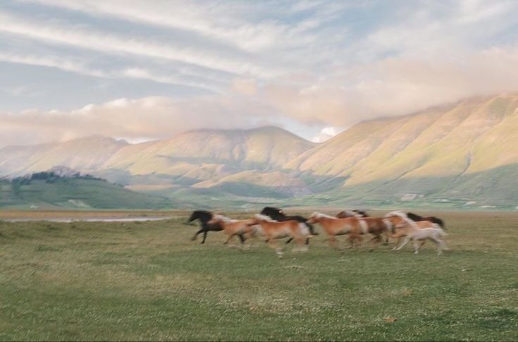 Why Colorado Is One of the Best Wedding Destinations