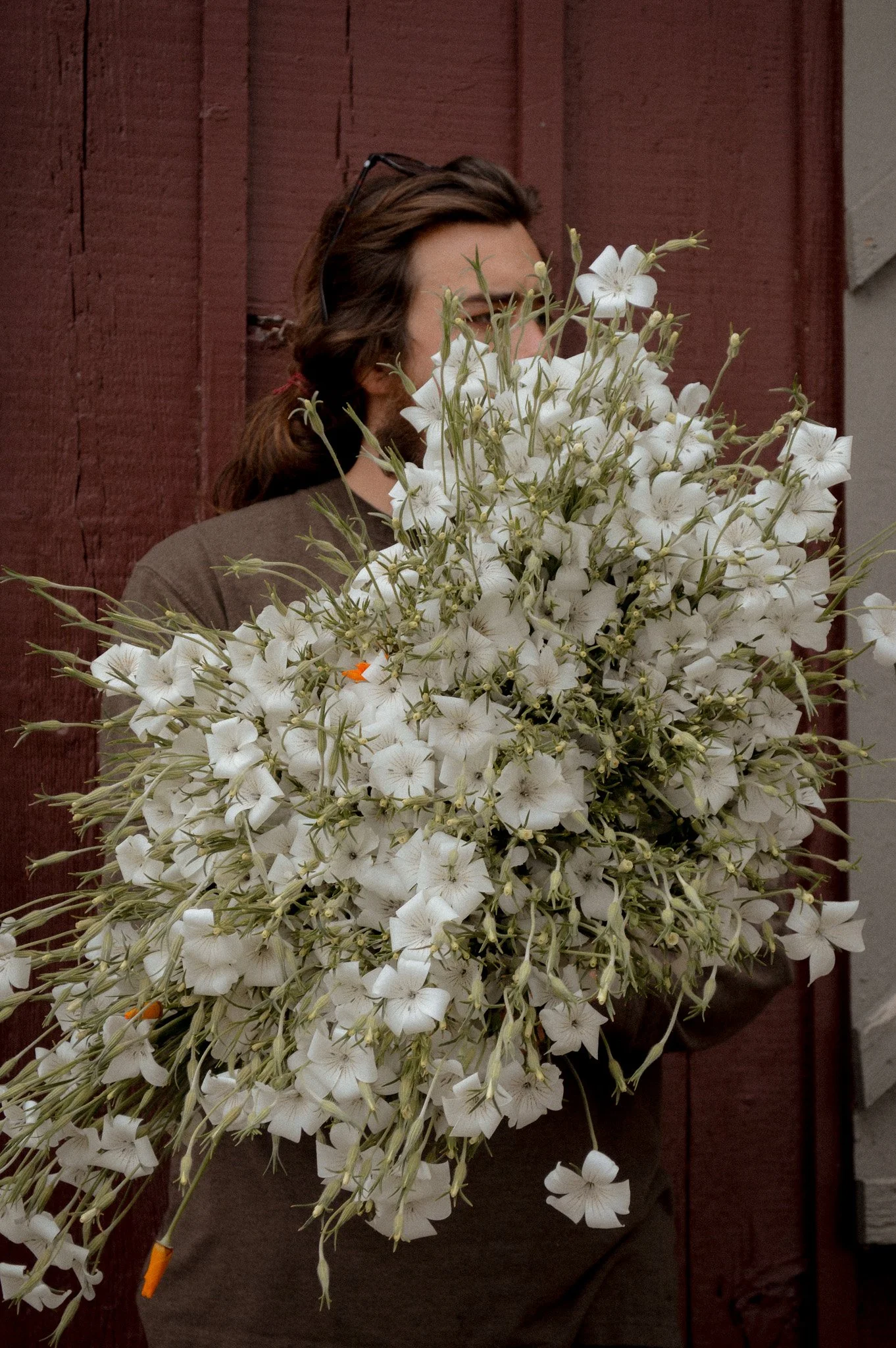 Colorado-Flower-Farm-Locally-Grown-01.jpg