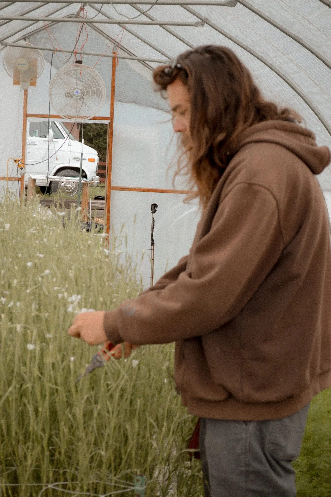 Colorado-Flower-Farm-Locally-Grown-18.jpg