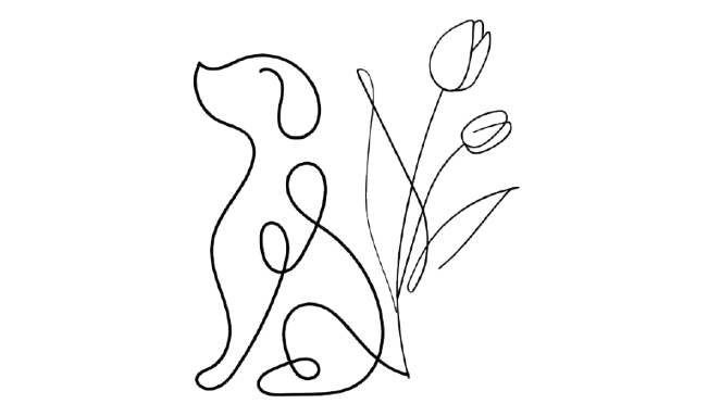 Issy &amp; Bear Grooming Co.