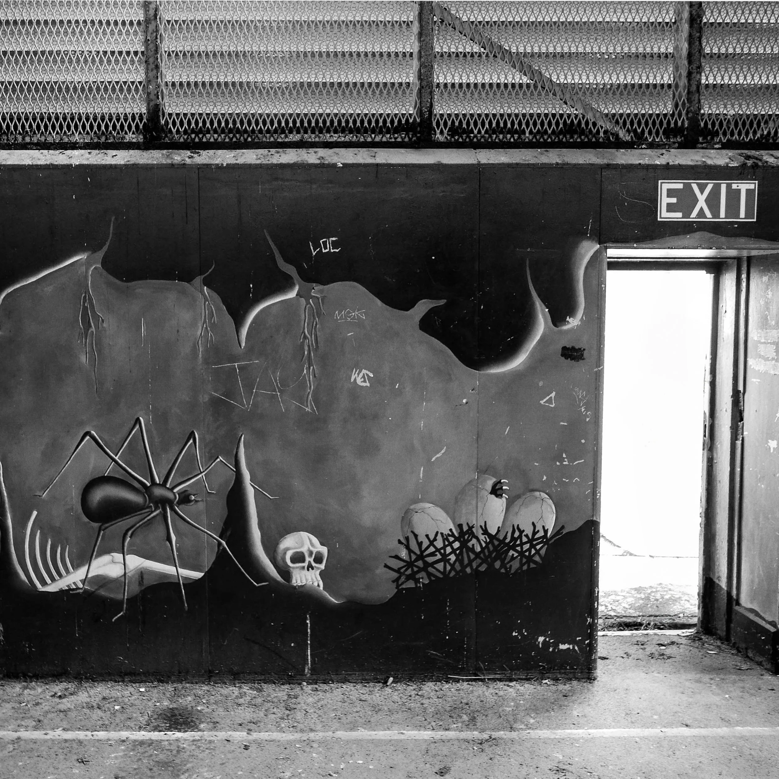 The Whole World Turned Grey