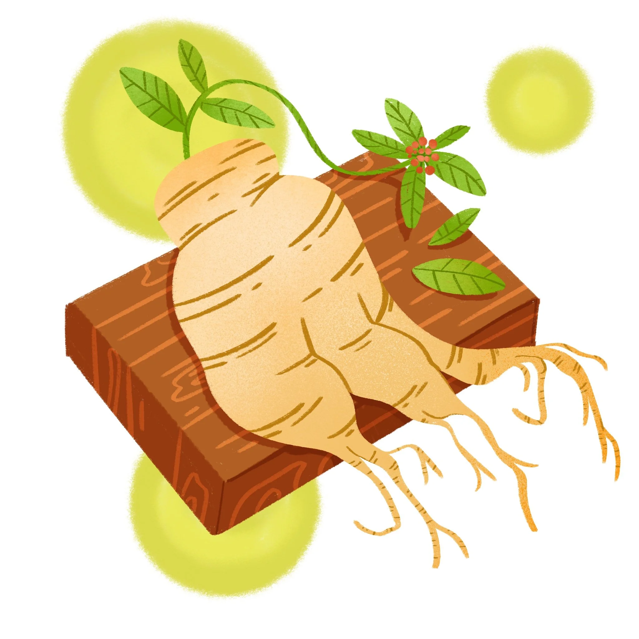 ginseng.jpg