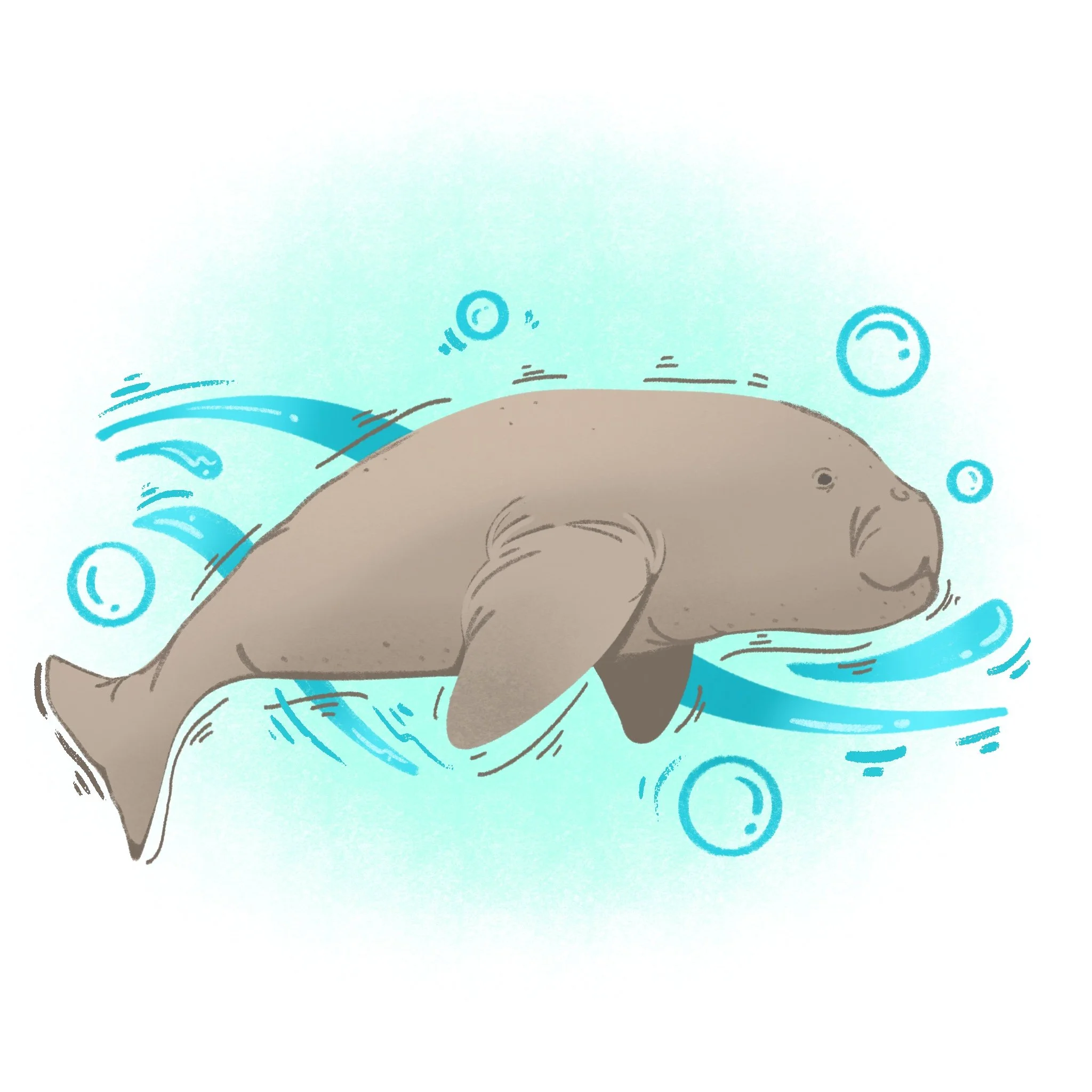 dugong.jpg