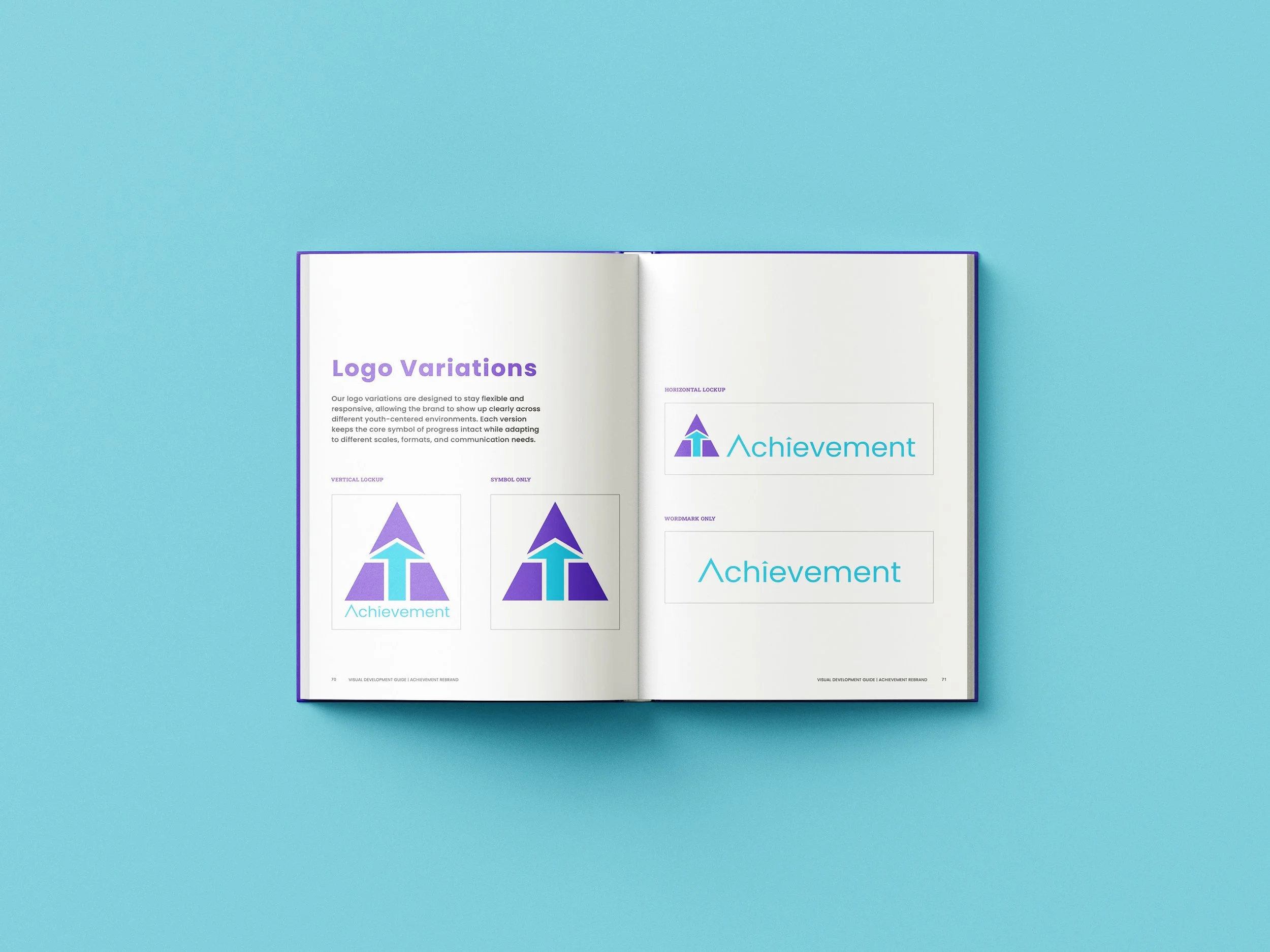 vis standrs spread.jpg