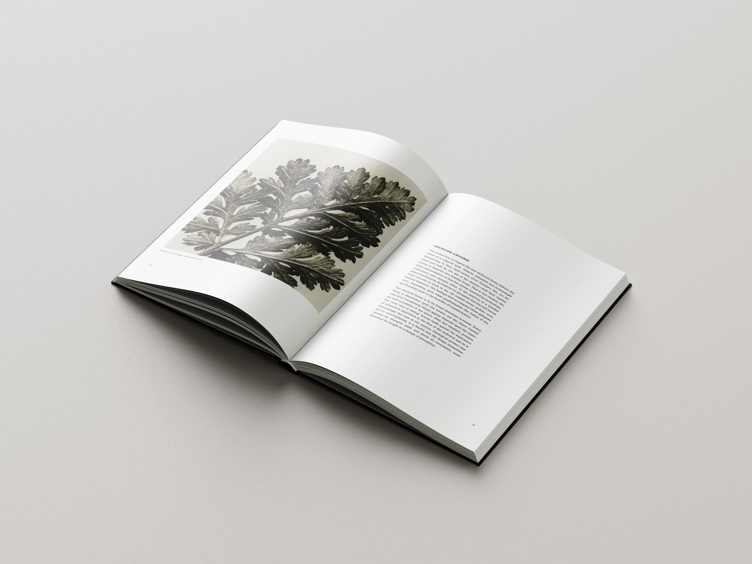 Karl_B_Book_Design_6.jpg